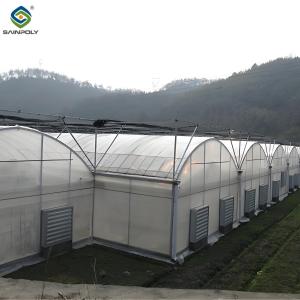China Polycarbonate Covering Multi Span Greenhouse With Galvanized Steel Structure wholesale