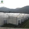 China Polycarbonate Covering Multi Span Greenhouse With Galvanized Steel Structure wholesale