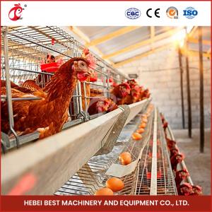96 Birds Automatic Chicken Cage Equipment Battery Egg Layer Cage For Laying Hens In Nigeria Iris