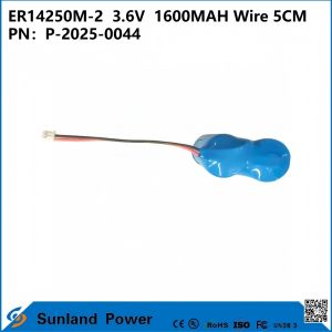 ER14250M-2  3.6V  1600MAH Wire 5CM Battery Can Be Used In Instruments, The Internet Of Things , Wireless Communication, Medical Electronic Equipment, And More.