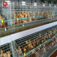 China 4 Tier Battery Broiler Chicken Cage A Type In Philippines Automatic on sale
