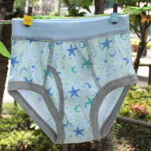 China Plus Size Quick Dry Cotton Three-dimensional Cutting Novel Organic Kids Underwear For Boys supplier