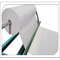 China Poultry PP White Conveyor Sheet polypropylene plastic chicken manure belt for Modern chicken factory on sale