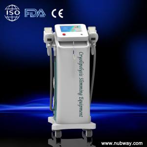 cryolipolysis slimming machine,liposuction antifreeze machine price,manufacturer
