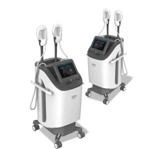 China Fat Reduction Multifunction Beauty Machine Helping Blood Circulation High Efficiency supplier