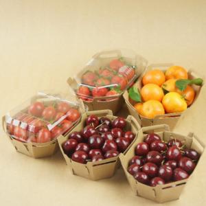 China Recyclable 350gsm Kraft Paper Fruit Tray With PET Lid supplier