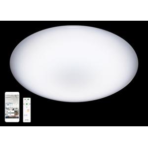 China No Flickering Remote Control Ceiling Light Luminaire Adjustable CE Certificated supplier