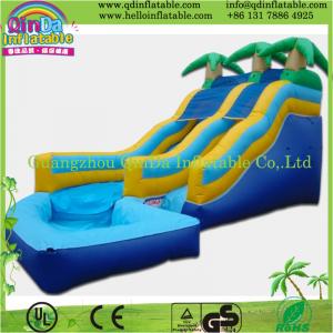 China Commercial Giant Inflatable slide/inflatable big slide supplier