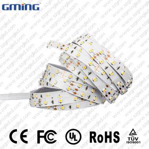 China Neon Rope 12 Volt DC LED Strip Lights , 9.6W / M Ribbon LED Light Strip supplier