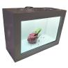 China Standalone Transparent LCD Display Box 1080P Small Transparent LCD Screen wholesale