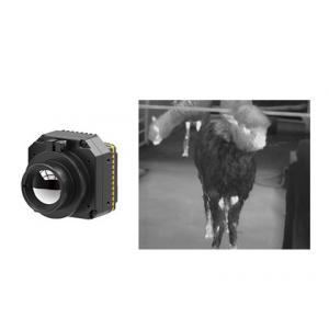 Uncooled Infrared Camera Module LWIR 640x512 17μM For Security And Monitoring