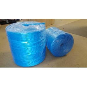 China 3mm 4mm Farm Use Twisted Banana Twine Hay Baler Rope Blue PP Baler Twine supplier