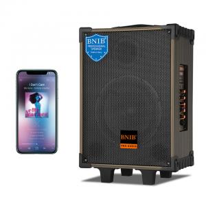 ODM 70W Amplifier Portable Bluetooth Speaker Outdoor Sound System For Stage