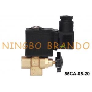 Silver Star Steam Generator Boiler Iron Solenoid Valve 1/4'' 110V 220V