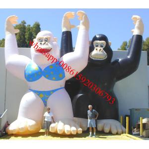 China 25ft inflatable male and female gorilla for advertising supplier