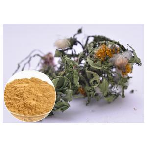Lower Blood Pressure Herbal Plant Extract Flavones Dandelion Root Extract Powder
