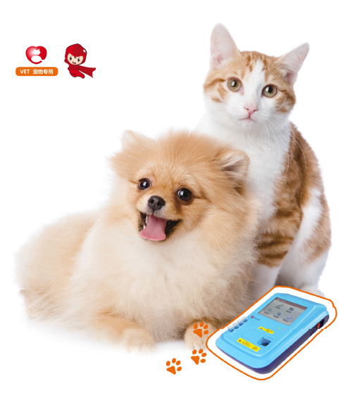 China Serum Plasma Sample Specific Protein Analyzer mALB CRP Test wholesale