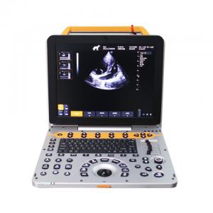 China 15 Inch Multiple Beam Synthesis Veterinary Ultrasound Machine For Small Animals supplier