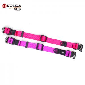 China Eco - Friendly Pet Collar For Dog Walking , Fashion Sport Dog Collar supplier