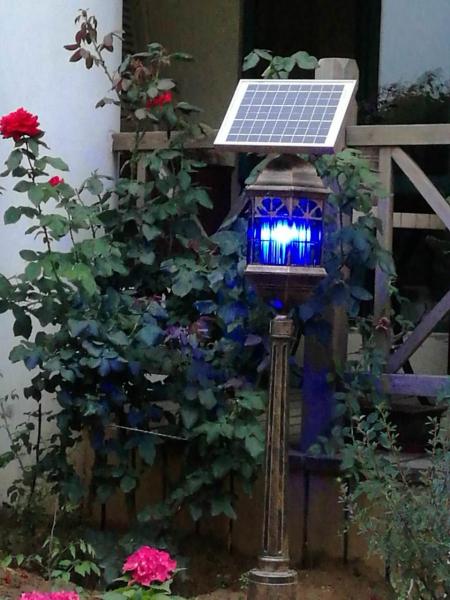 Solar-Powered Outdoor Bug Zapper / Mosquito Killer - Hang or Stick in the Ground