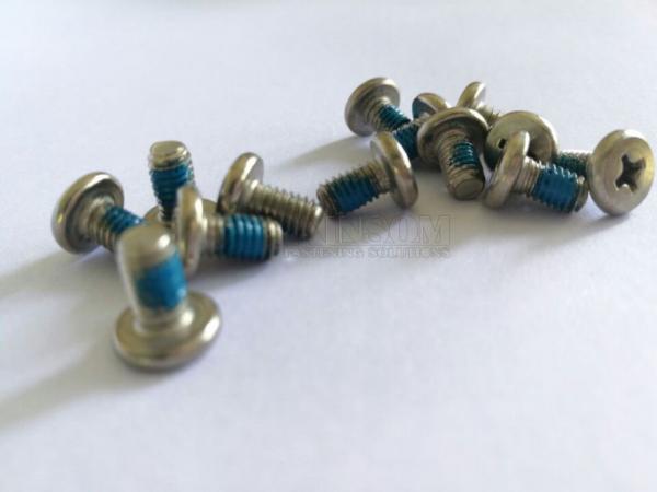 Stainless Steel 304 316 Machine screw Cheese Cross Phillips Head with Blue Nylok