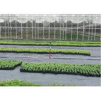 1-6 Metere width black  agricultural anti weed mat supplier by sincere factory/manufacturer in CN