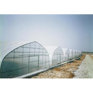 China Structurez simplement rouille antipoussière de serre chaude simple de tunnel l'anti avec le filet d'insecte disponible supplier