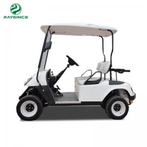 Qingdao Raysince wholesale cheap price Golf cart with two seats ready to ship golf buggy for sale