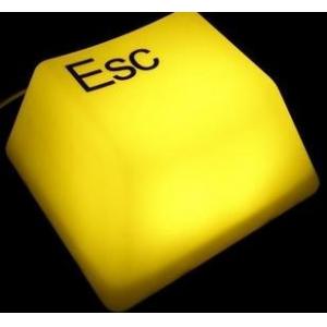 China ESC light supplier