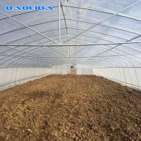 China High Tunnel 150 Micron PE Film Single Span Greenhouse For Agricultural Project on sale