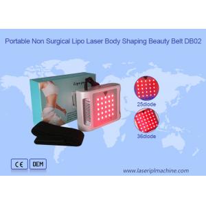 Home Use Portable 650NM Lipo Laser Fat Loss Device