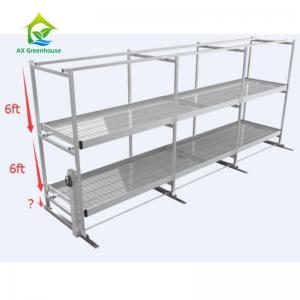 China Stackable Greenhouse Racks Rolling Grow Benches Vertical Grow Rack System supplier