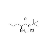 China L Norvaline Tert Butyl Ester Hydrochloride H Nva OtBu HCl CAS No 119483-47-5 99% on sale
