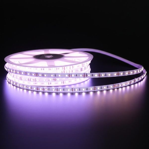 High Voltage LED Strip Light The Ideal Choice for Bright and Long-lasting Illumination