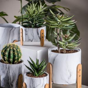 China Cement Flower Pots Mini Succulents Plant Pots Round Planters Tabletop Planters Cactus Planters supplier