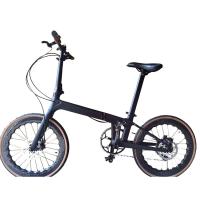 China Small Size 20 Inch Folding Bicycle with 53T Hollow Tech Charning and 35/37mm Head Tube on sale