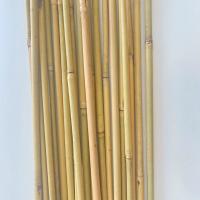 China Natural Garden Bamboo Sticks For Indoor Outdoor Tomatoes Potted Plants Support Stakes on sale