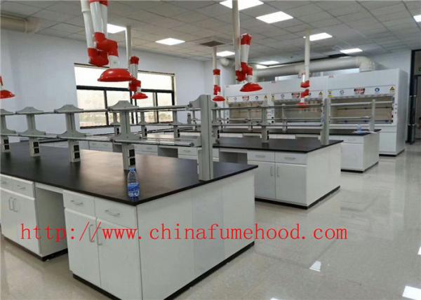 Blue or Customized Chemical Lab Cabinet Laboratory Furniture For Chemical