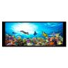 China 6.8 Inch Hight-Brightness TFT LCD Display LVDS Interface wholesale