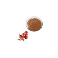 Food Vitamin C  5% 25%  Water Soluble Dried Rosehip Extract Rose Hip Extract Hot Selling Wholesale