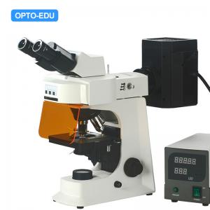 China OPTO-EDU A16.2601-B2 Fluorescent Microscope, Binocular, B/G supplier