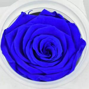 Preserved Roses Flower 12 Roses in Round Gift Box for Wife or Girlfriend rose Preserved Flowers