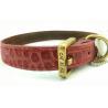 Dog Neck Belts / Collars / Straps, Pet Collar