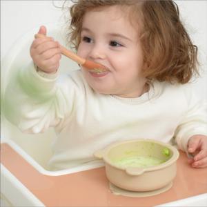 China Bpa Free Eco-friendly Spoon Bib Colorful Suction Cute Bear Shape Silicone Baby Feeding Bowl supplier