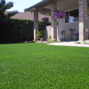 Home 25mm Pile Fake Grass Flooring Front Yard And Back Yard Commercial