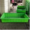 Green Color Aquaponic Grow Bed With Standing For Greenhousr Aquaponic Systems