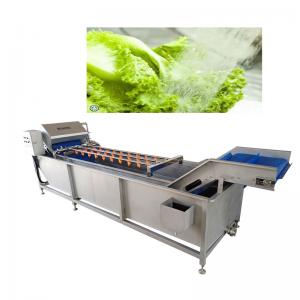 Belt Type 2T/H Vegetable Fruit Washing Machine High Pressure Spray Washing Machine