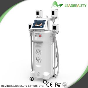 China Cryolipolysis weight reduction beauty machine wholesale