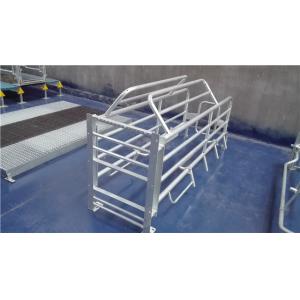 used pig farrowing stall pig crate farming equipment in india
