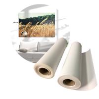 China Aqueous Inkjet Matte Cotton Print Canvas Art Roll Blank Canvas on sale